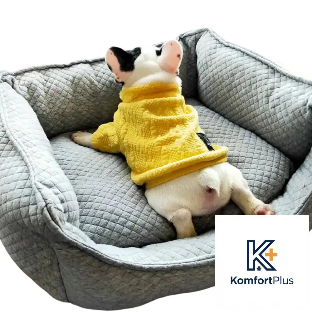 Teddy Golden Retriever for Autumn and Winter Seasons Gray / L