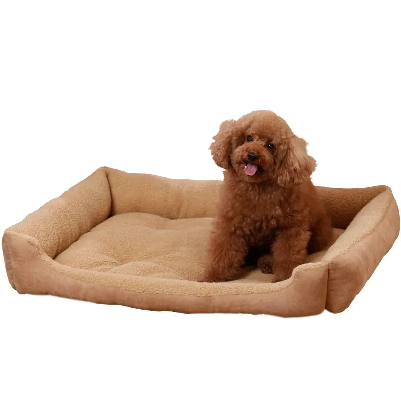 Teddy Golden Retriever Hundebett und Haustierhaus