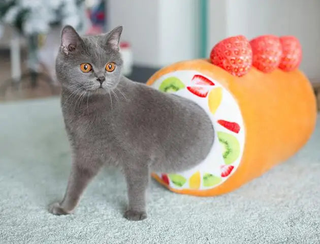 Cat and Dog Mat - Cake Roll Cat Bed