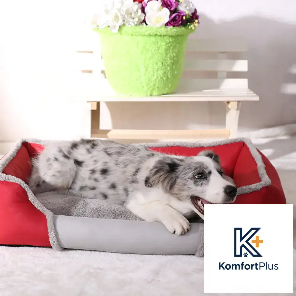 Breathable Dog Bed for Autumn and Winter Use