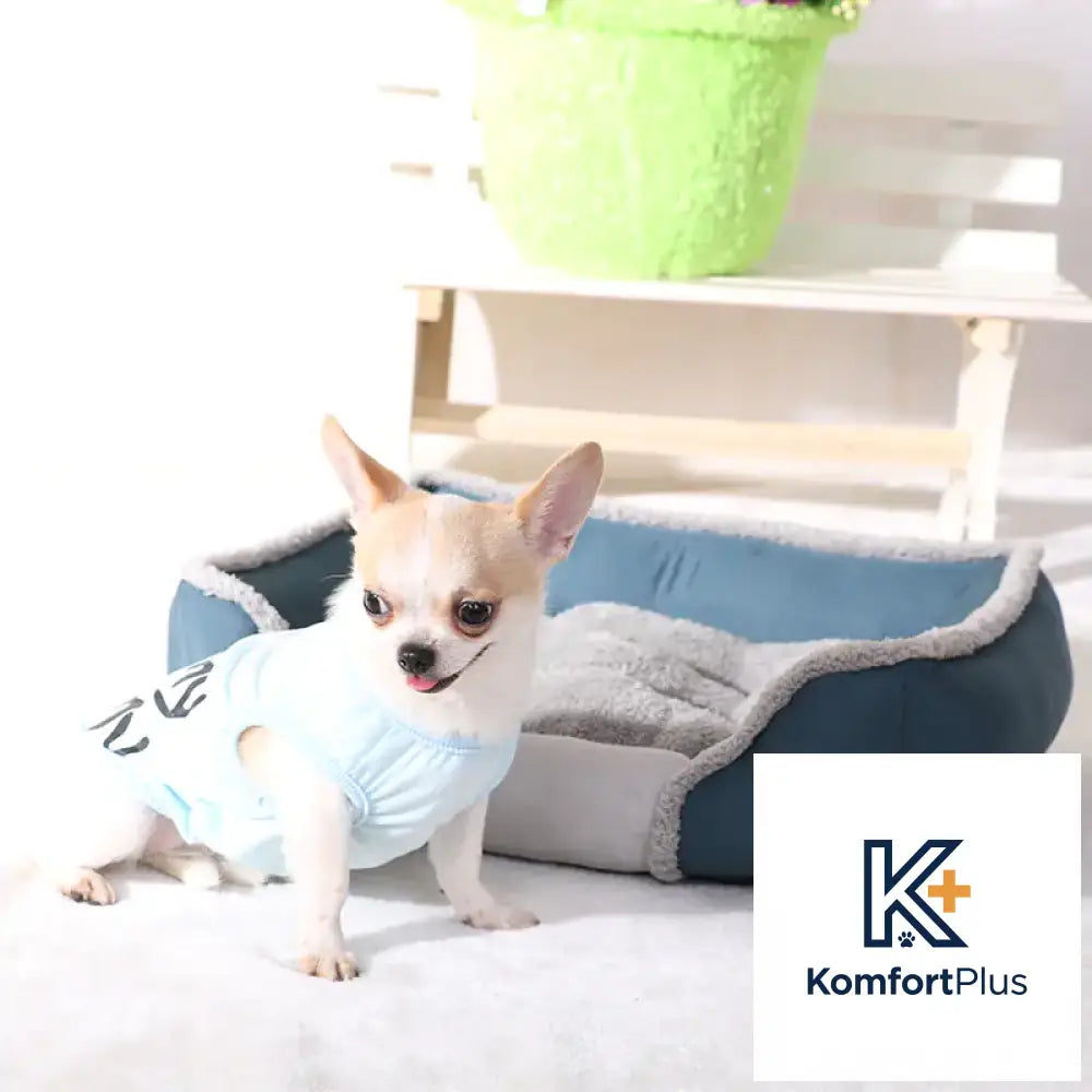 Breathable Dog Bed for Autumn and Winter Use BLUE / L