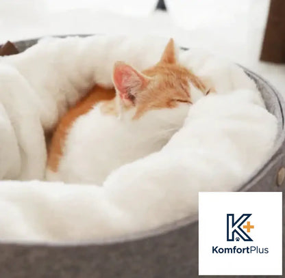 Cozy Pet Bed for Cats and Small Dogs in Winter Design