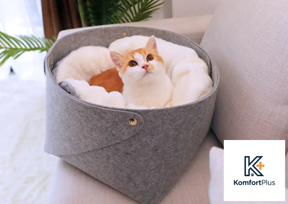 Cozy Pet Bed for Cats and Small Dogs in Winter Design