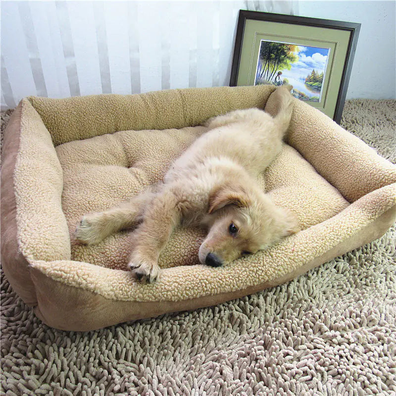 Teddy Golden Retriever Hundebett und Haustierhaus