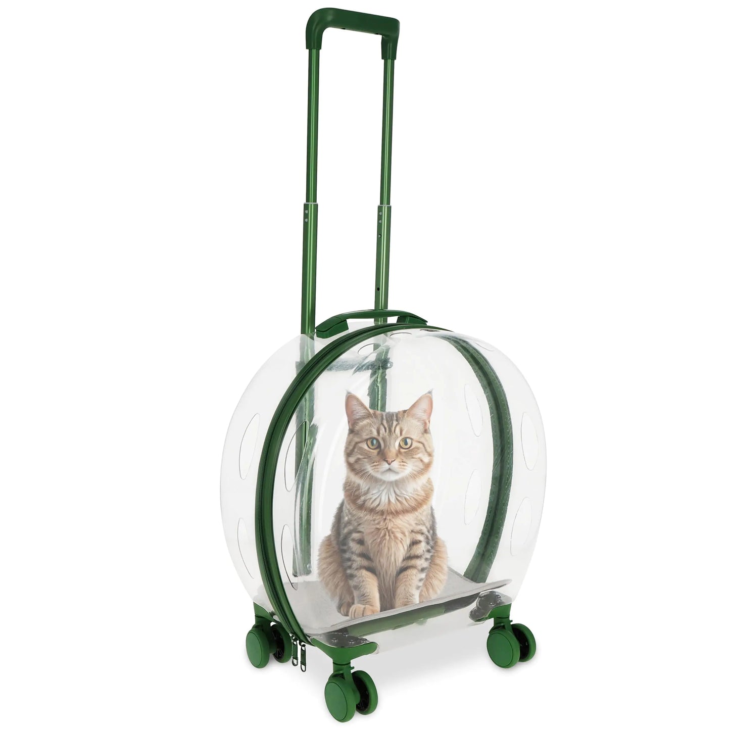 MiMu Transparent Bubble Pet Carrier with Wheels - Small Dog or Cat Trolley for Pet Travel - Cat Backpack Alternative