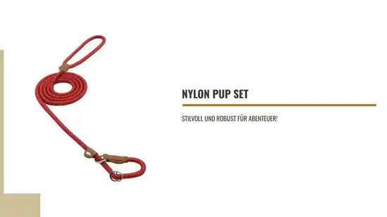 Nylon Pup Set by@Outfy
