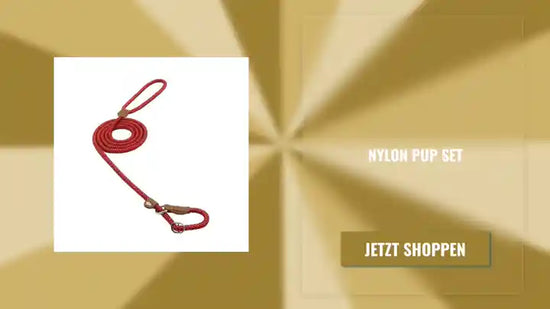 Nylon Pup Set by@Outfy