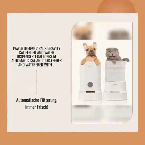 PAWGETHER&reg; 2 Pack Gravity Cat Feeder and Water Dispenser 1 Gallon/3.5L Automatic Cat and Dog Feeder and Watererer with Pet Food Bowl for Puppy Kitten Rabbits by@Outfy