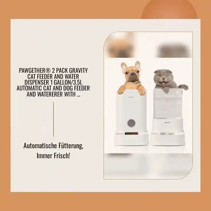 PAWGETHER&reg; 2 Pack Gravity Cat Feeder and Water Dispenser 1 Gallon/3.5L Automatic Cat and Dog Feeder and Watererer with Pet Food Bowl for Puppy Kitten Rabbits by@Outfy