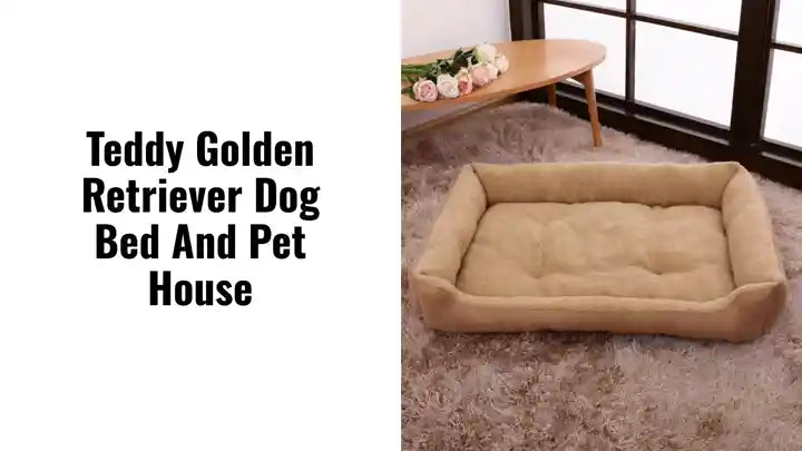 Teddy Golden Retriever Dog Bed and Pet House by@Outfy