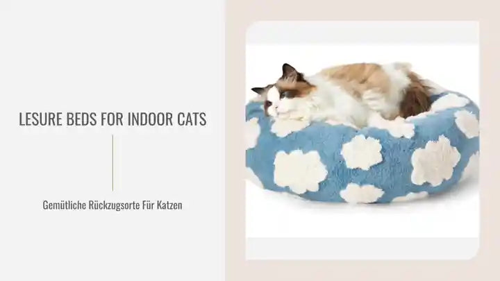 Lesure Beds For Indoor Cats by@Outfy