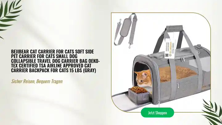 Bejibear Cat Carrier for Cats Soft Side Pet Carrier for Cats Small Dog Collapsible Travel Dog Carrier Bag Oeko-TEX Certified TSA Airline Approved Cat Carrier Backpack for Cats 15 lbs (Gray) by@Outfy