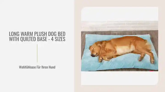 Long Warm Plush Dog Bed with Quilted Base - 4 Sizes by@Outfy