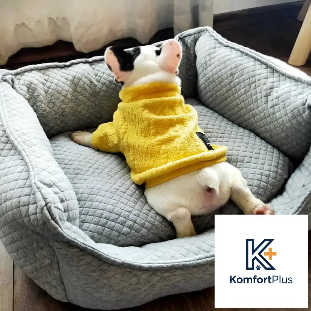 Teddy Golden Retriever for Autumn and Winter Seasons Gray / L