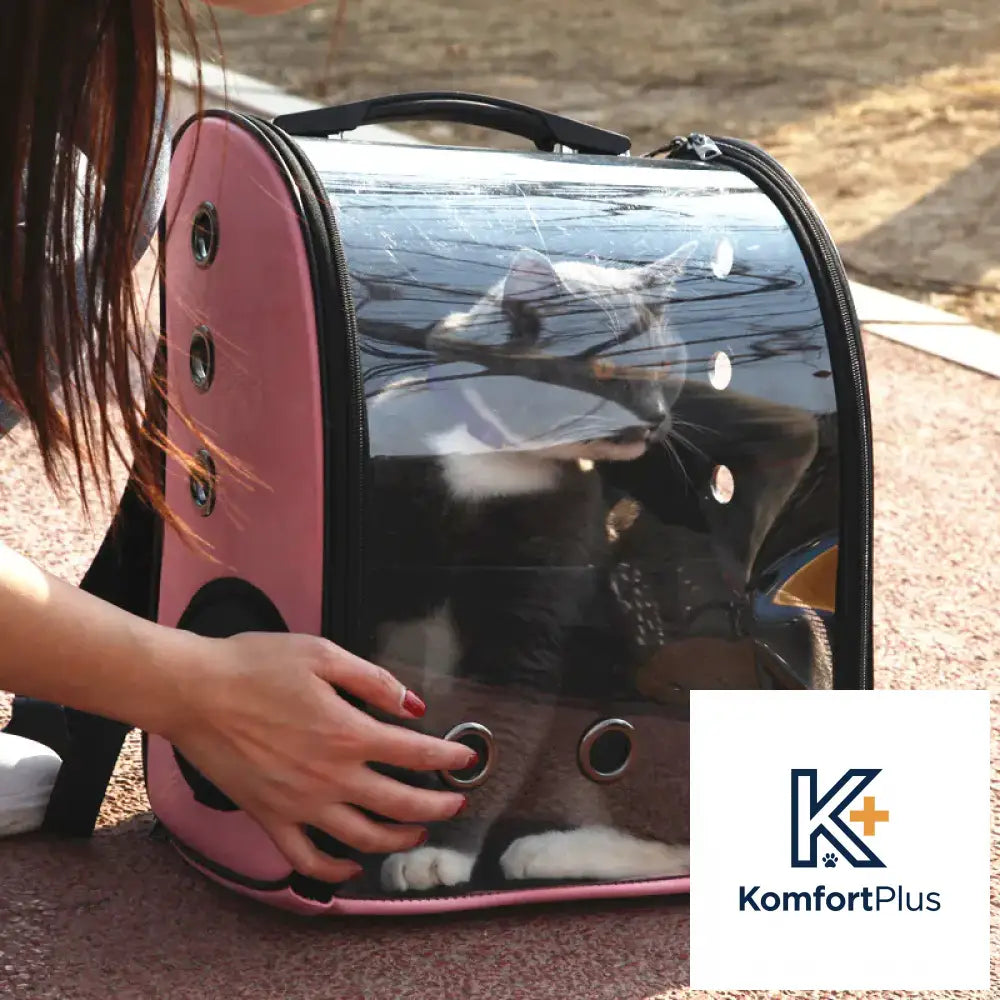 Transparent Foldable Pet Backpack for Cats and Dogs