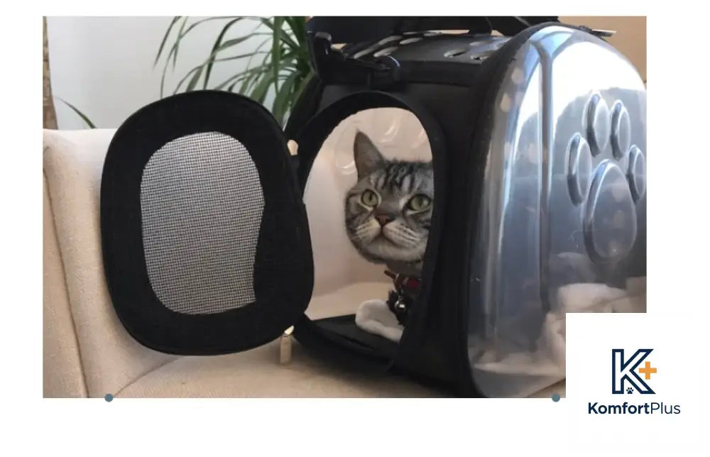 Transparent Pet Backpack for Cats and Dogs