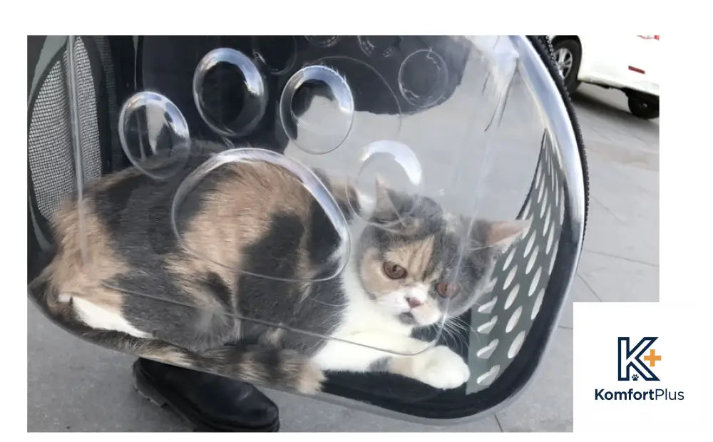 Transparent Pet Backpack for Cats and Dogs