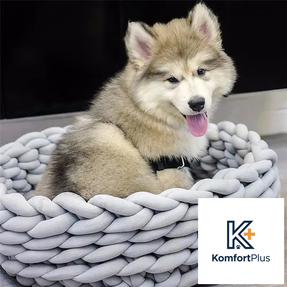 Washable Solid Color Coarse Wool Pet Nest Light Grey / 40cm