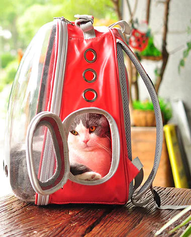 Cat Backpack, Space Capsule Bag for Outdoor Use
